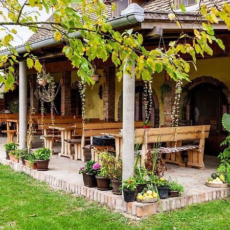 Bed and Breakfast Snasini Kucari Gradiste Exteriér fotografie